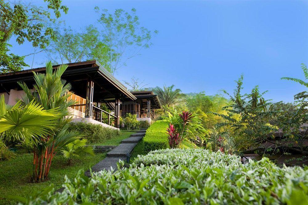 Tiki Villas Rainforest Lodge & Spa Uvita Eksteriør billede